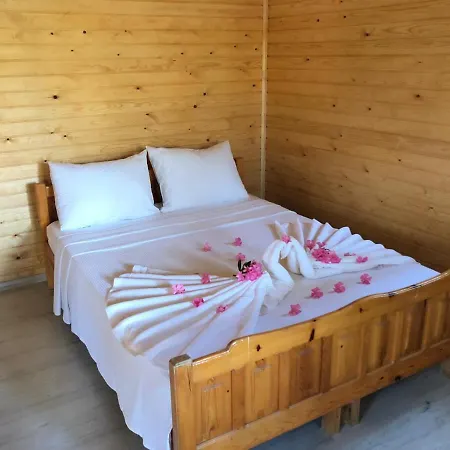 Caunos Ortaca (Mugla)